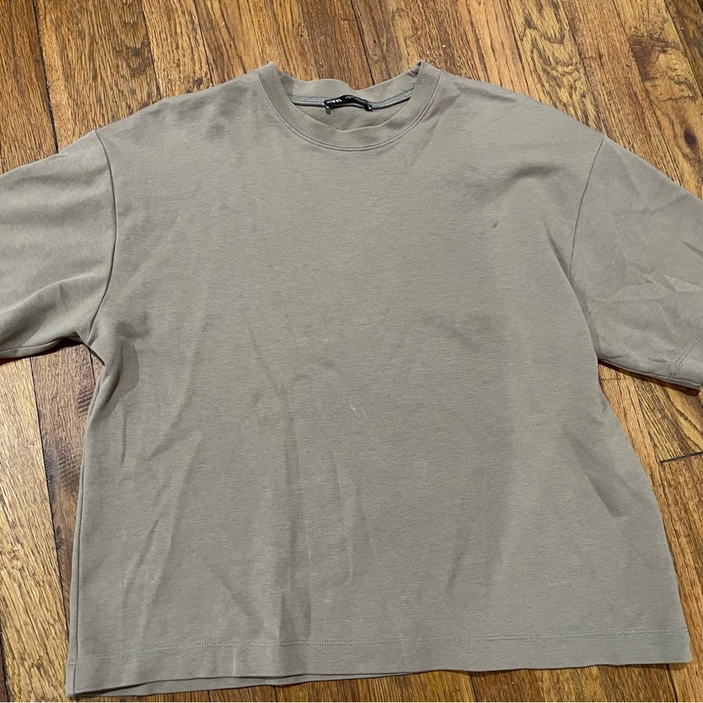 Zara Neutral Taupe Crewneck Tee